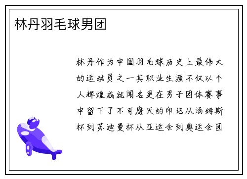 林丹羽毛球男团