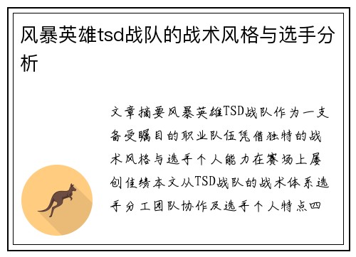 风暴英雄tsd战队的战术风格与选手分析
