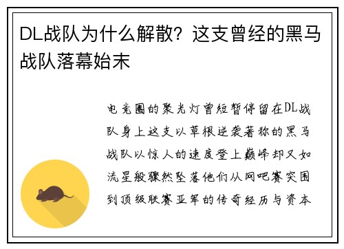 DL战队为什么解散？这支曾经的黑马战队落幕始末